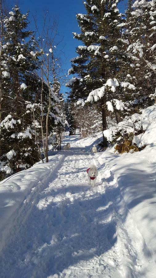 Leilighet I Amotsdal Esterno foto