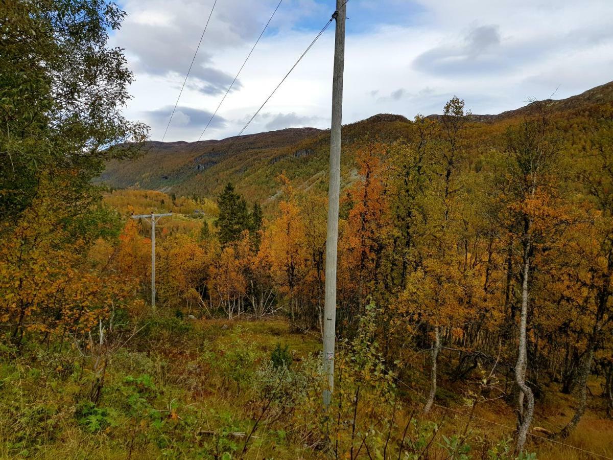 Leilighet I Amotsdal Esterno foto