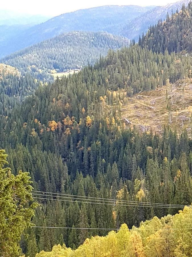 Leilighet I Amotsdal Esterno foto