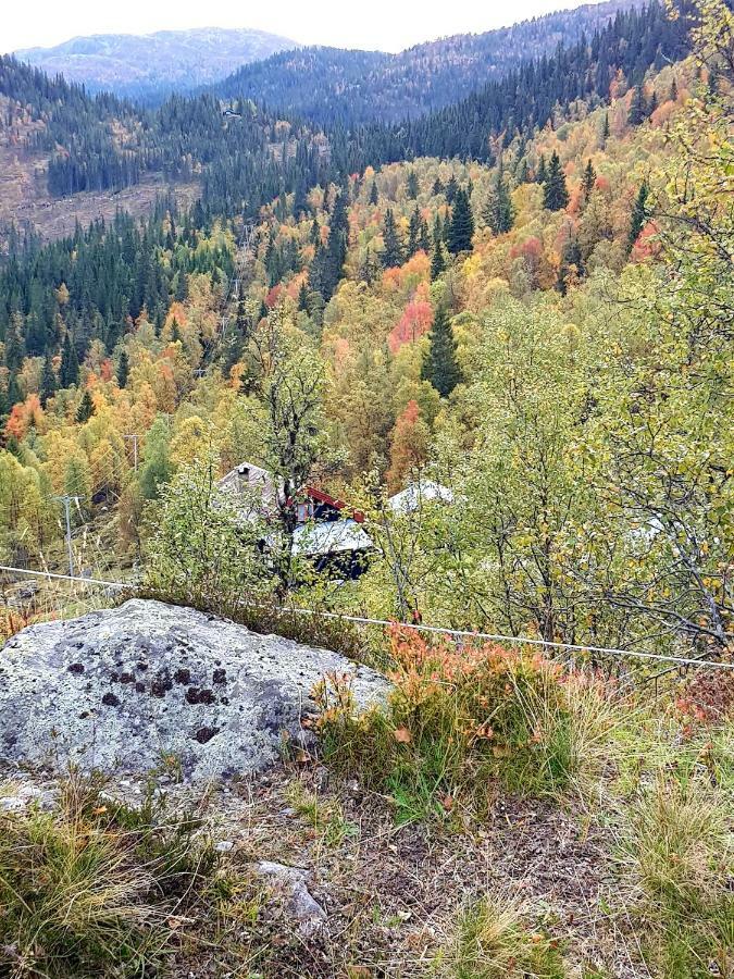 Leilighet I Amotsdal Esterno foto