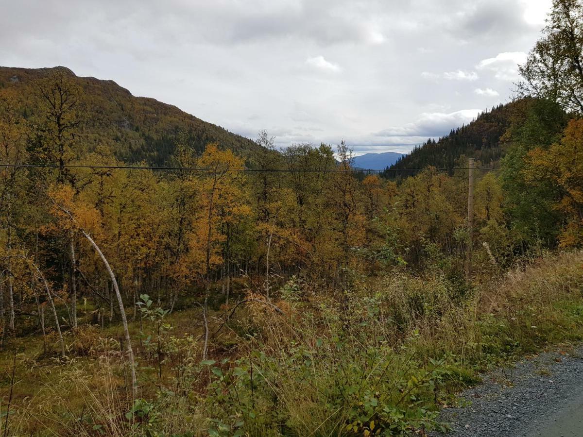 Leilighet I Amotsdal Esterno foto